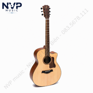 Guitar Acoustic Ba Đờn T - 350
