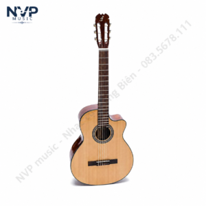 Đàn Guitar Classic Ba Đờn C-100-J mặt gỗ Thông Sitka, lưng hông Hồng Đào chất lượng cao, dây Alice AC130, âm thanh ấm áp, phù hợp người mới học và học sinh sinh viên.